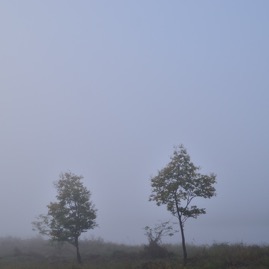 朝霧の多摩川
